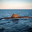 Deutschland vertieft militärische Zusammenarbeit im Nordatlantik